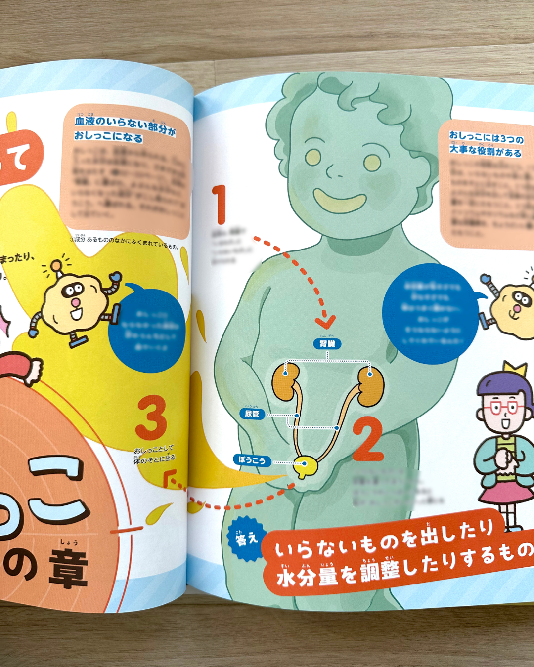 書籍『本当はスゴい ばっちいもの研究所』本文イラスト